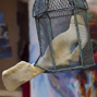 Bone in a cage